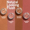 image:imagePhysicians Formula Powder Palette MultiColored Blush Silky Smooth Formula Hypoallergenic Blends Easily Without Irritation  Blushing PeachBlushing Berry