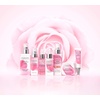 image:imagePhysicians Formula Ros All Stay Illuminating Setting Spray For Makeup OilFree AlcoholFree Antioxidants  Dermatologist Tested Clinicially Tested